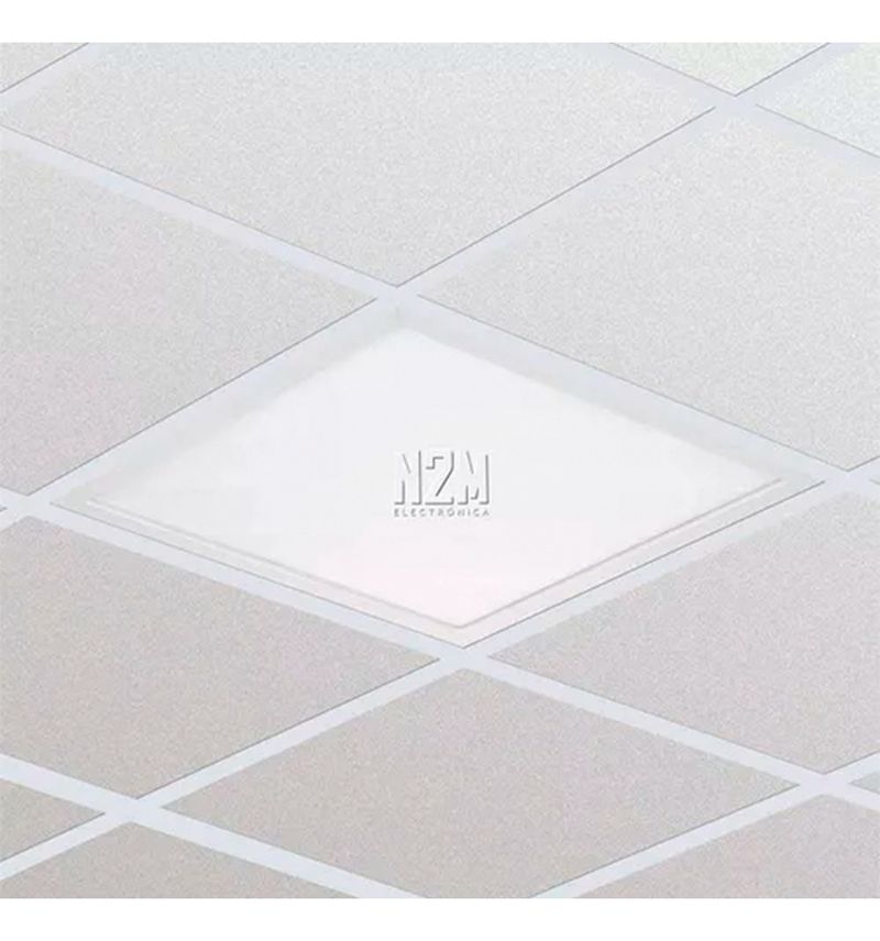 D_NQ_NP_5.jpg